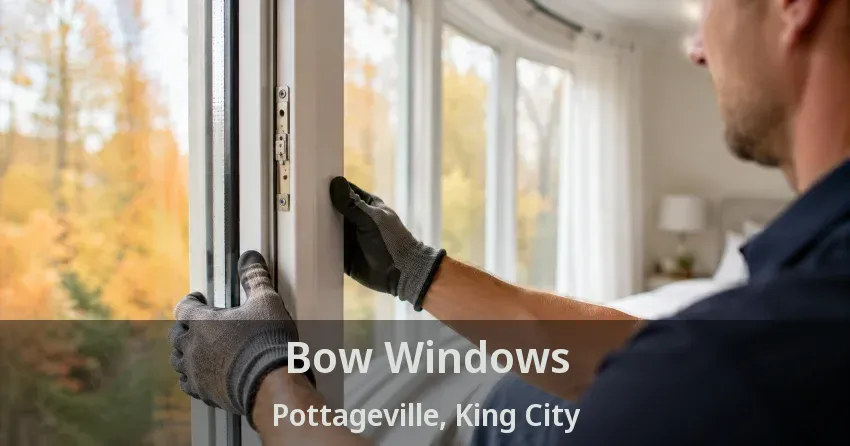 Bow Windows Pottageville, King City - ON