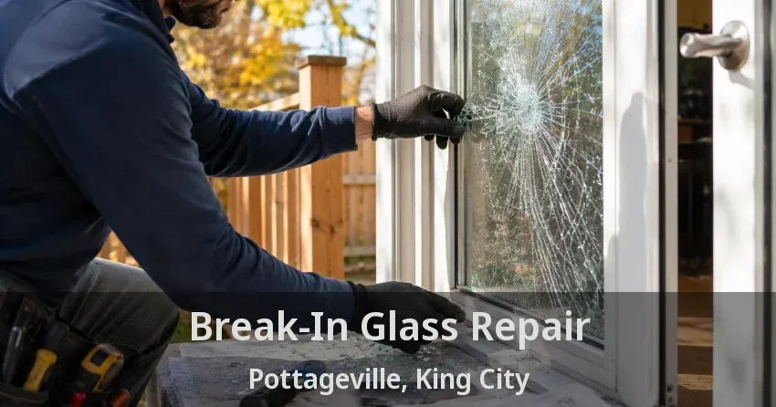 Break-In Glass Repair Pottageville, King City - ON