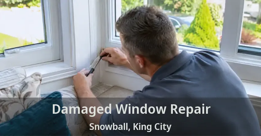 Damaged Window Repair Snowball, King City - ON