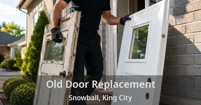 Old Door Replacement Snowball, King City - ON