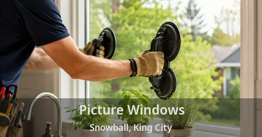 Picture Windows Snowball, King City - ON
